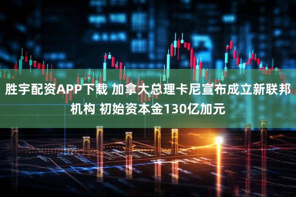 胜宇配资APP下载 加拿大总理卡尼宣布成立新联邦机构 初始资本金130亿加元