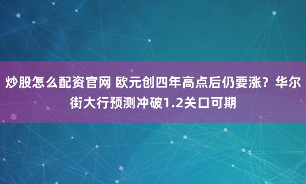 炒股怎么配资官网 欧元创四年高点后仍要涨？华尔街大行预测冲破1.2关口可期